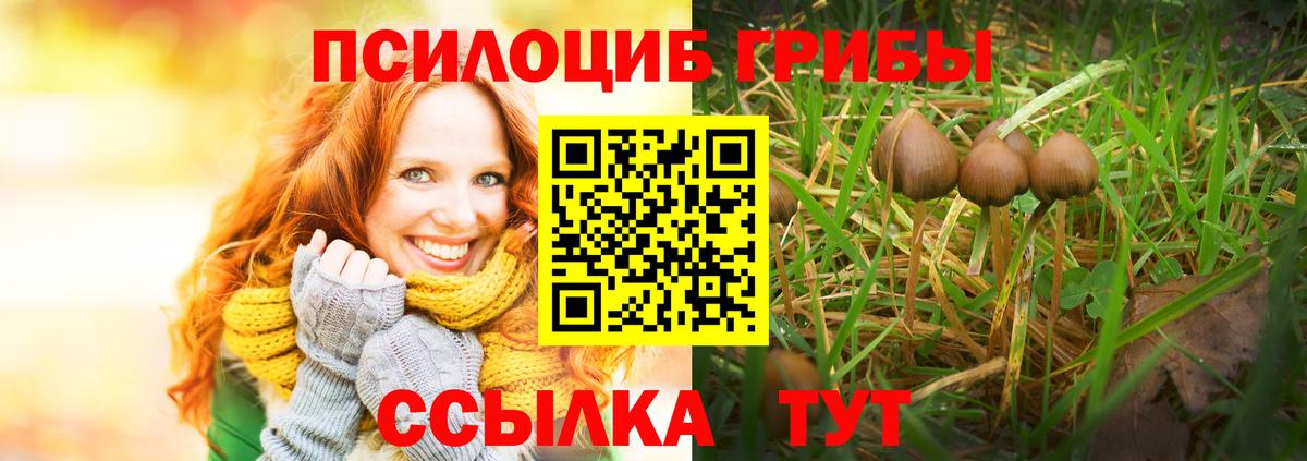 Псилоцибиновые грибы ЛСД Спасск-Дальний